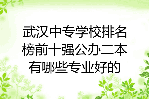 武汉中专学校排名榜前十强公办二本有哪些专业好的