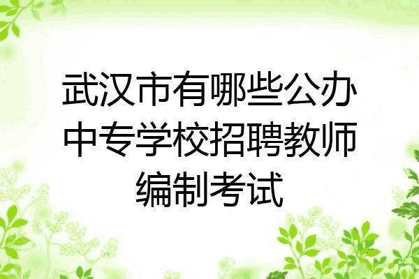 武汉市有哪些公办中专学校招聘教师编制考试