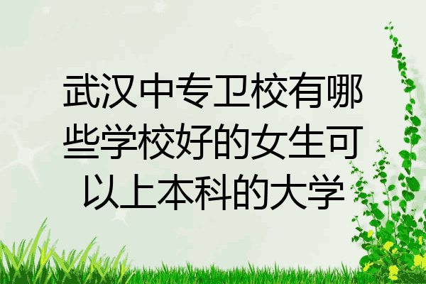 武汉中专卫校有哪些学校好的女生可以上本科的大学