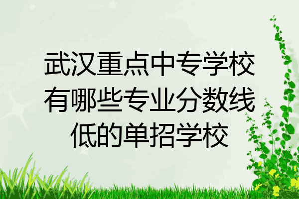 武汉重点中专学校有哪些专业分数线低的单招学校