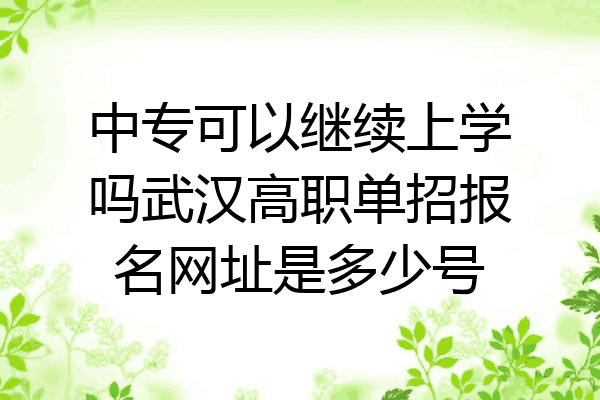 中专可以继续上学吗武汉高职单招报名网址是多少号