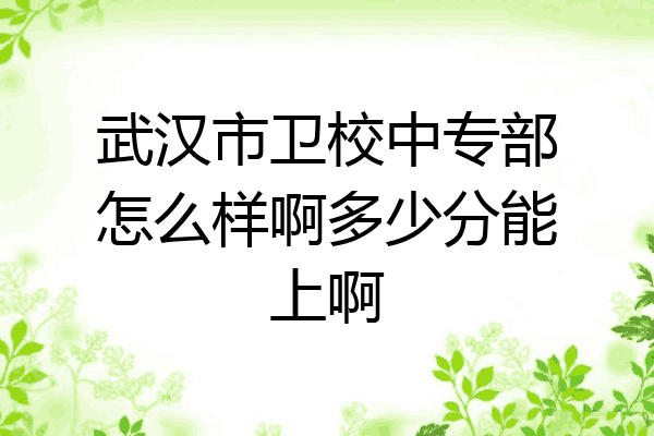 武汉市卫校中专部怎么样啊多少分能上啊