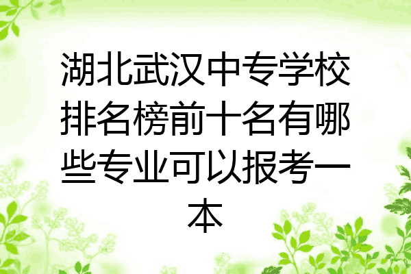 湖北武汉中专学校排名榜前十名有哪些专业可以报考一本