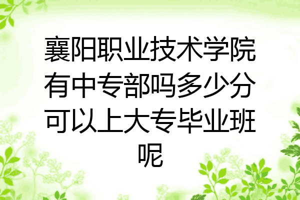 襄阳职业技术学院有中专部吗多少分可以上大专毕业班呢