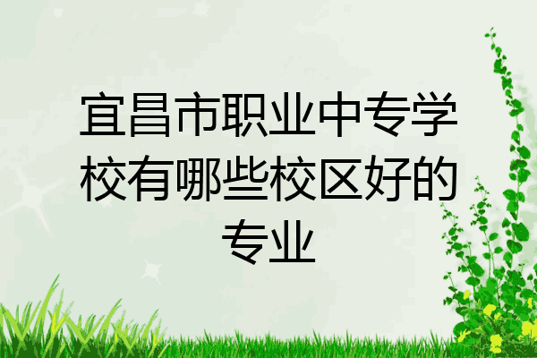 宜昌市职业中专学校有哪些校区好的专业