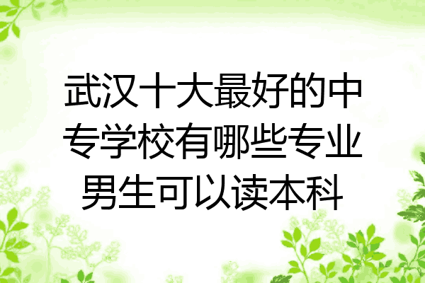 武汉十大最好的中专学校有哪些专业男生可以读本科