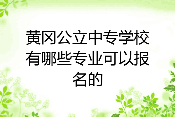黄冈公立中专学校有哪些专业可以报名的