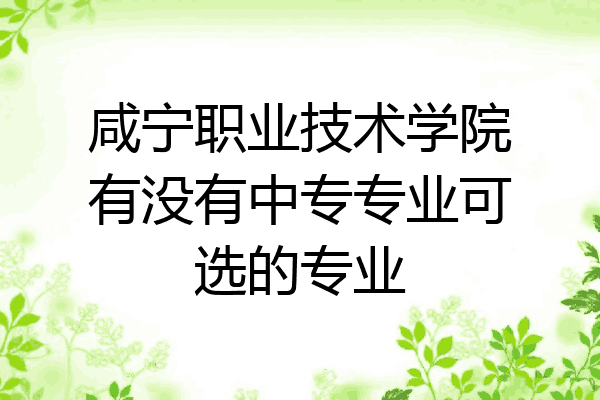 咸宁职业技术学院有没有中专专业可选的专业