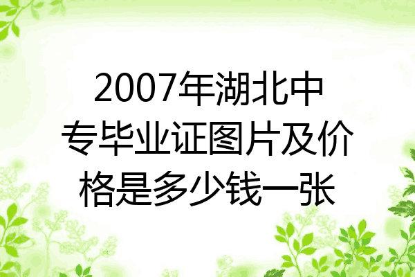 2007年湖北中专毕业证图片及价格是多少钱一张