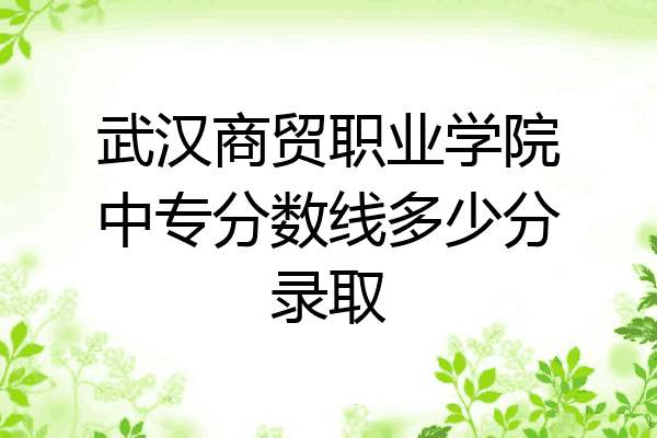 武汉商贸职业学院中专分数线多少分录取