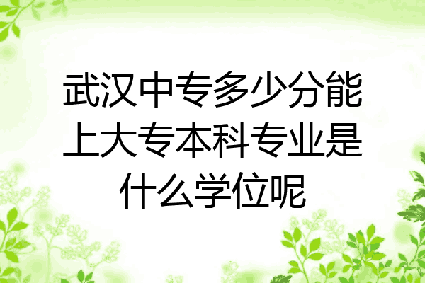 武汉中专多少分能上大专本科专业是什么学位呢