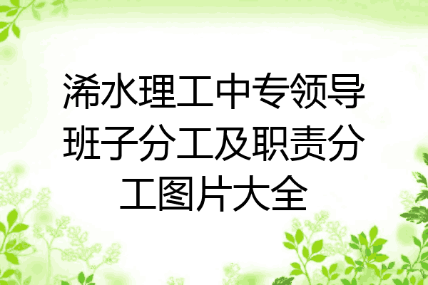浠水理工中专领导班子分工及职责分工图片大全