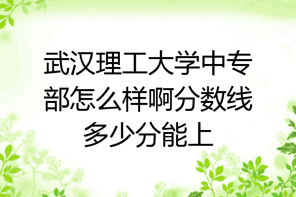 武汉理工大学中专部怎么样啊分数线多少分能上