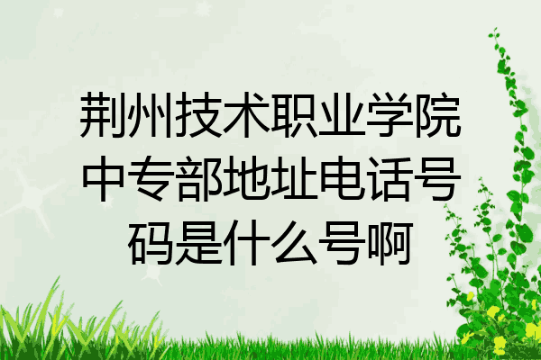 荆州技术职业学院中专部地址电话号码是什么号啊