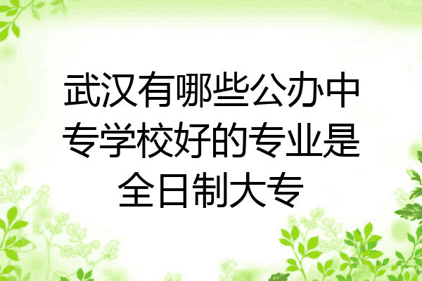 武汉有哪些公办中专学校好的专业是全日制大专