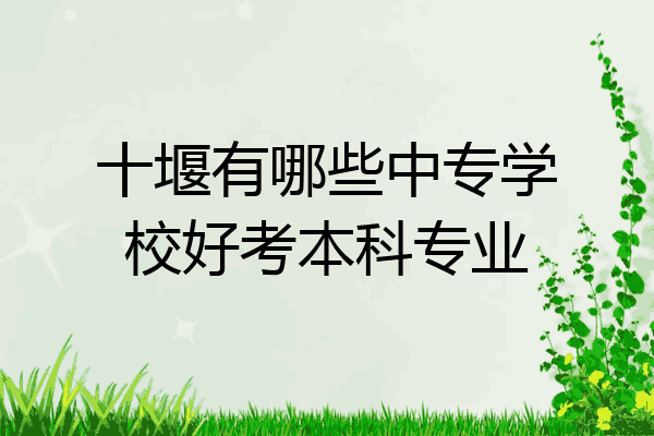 十堰有哪些中专学校好考本科专业