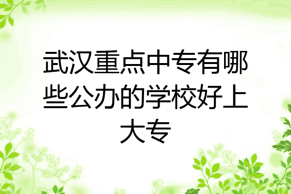 武汉重点中专有哪些公办的学校好上大专