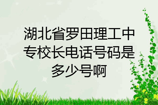 湖北省罗田理工中专校长电话号码是多少号啊