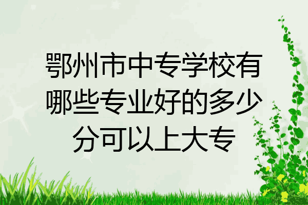 鄂州市中专学校有哪些专业好的多少分可以上大专