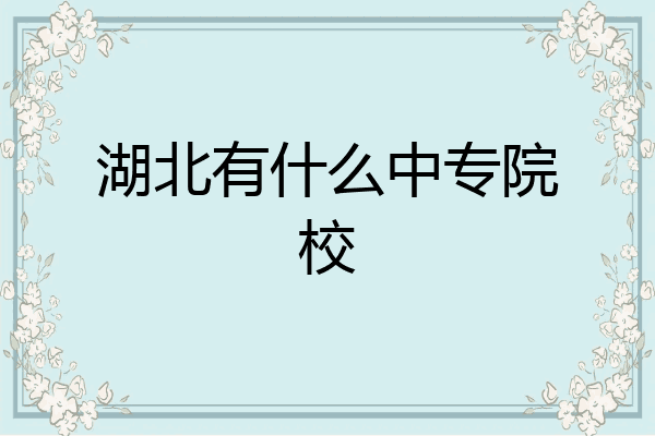 湖北有什么中专院校