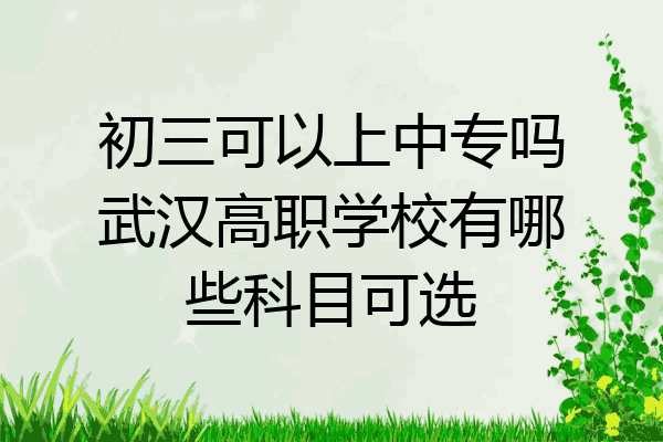 初三可以上中专吗武汉高职学校有哪些科目可选
