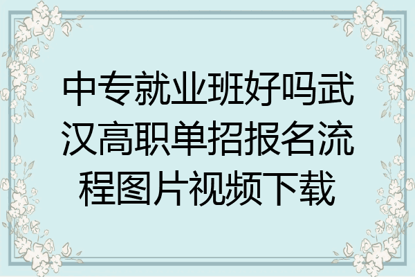 中专就业班好吗武汉高职单招报名流程图片视频下载