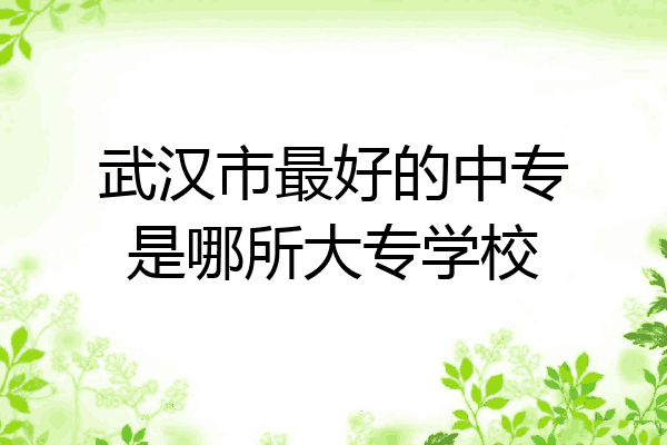 武汉市最好的中专是哪所大专学校