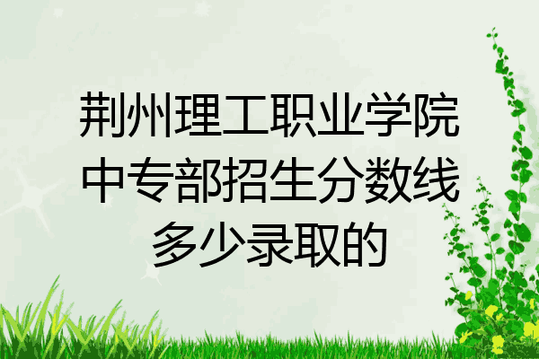 荆州理工职业学院中专部招生分数线多少录取的