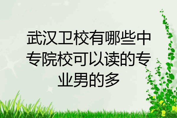 武汉卫校有哪些中专院校可以读的专业男的多