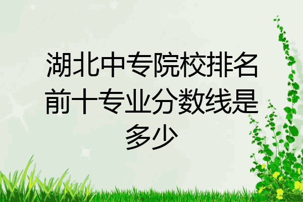湖北中专院校排名前十专业分数线是多少