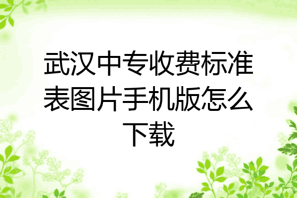 武汉中专收费标准表图片手机版怎么下载