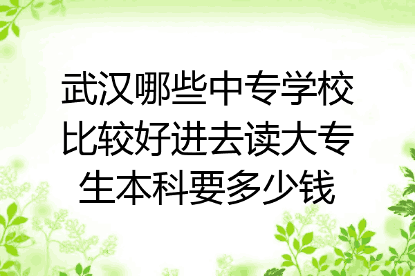 武汉哪些中专学校比较好进去读大专生本科要多少钱