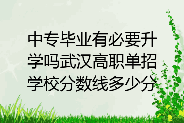 中专毕业有必要升学吗武汉高职单招学校分数线多少分