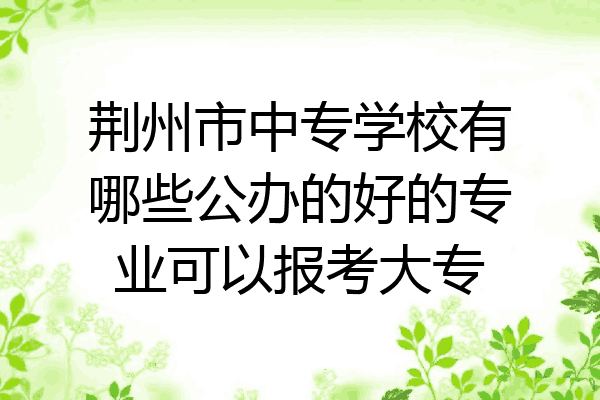荆州市中专学校有哪些公办的好的专业可以报考大专