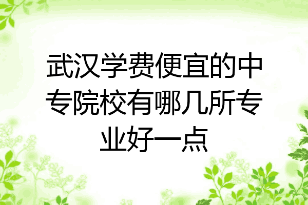 武汉学费便宜的中专院校有哪几所专业好一点