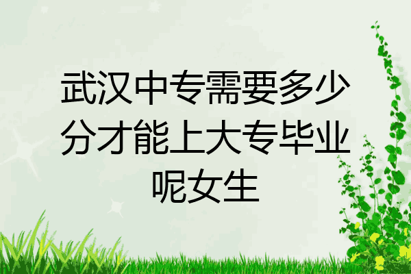 武汉中专需要多少分才能上大专毕业呢女生
