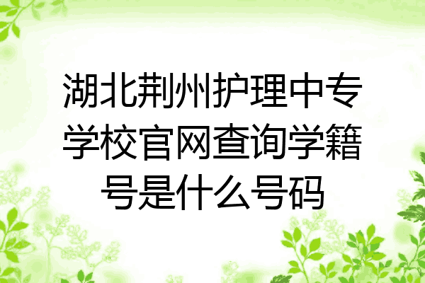 湖北荆州护理中专学校官网查询学籍号是什么号码