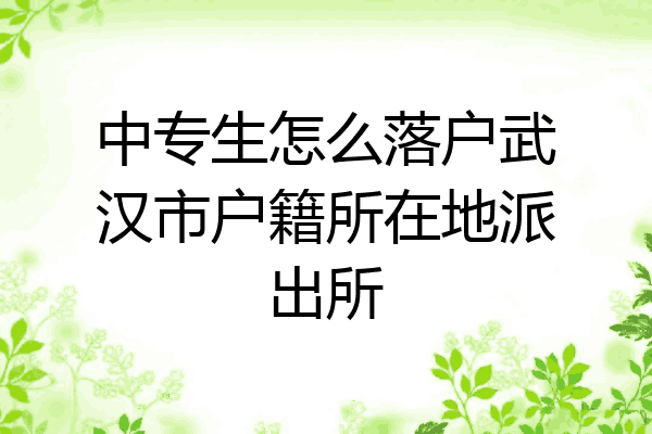 中专生怎么落户武汉市户籍所在地派出所