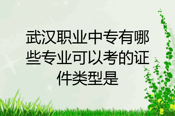 武汉职业中专有哪些专业可以考的证件类型是