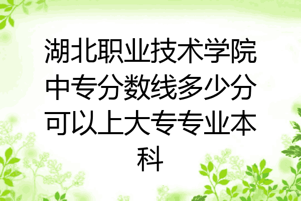 湖北职业技术学院中专分数线多少分可以上大专专业本科