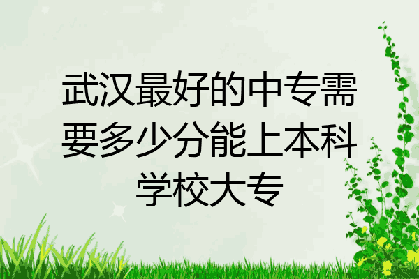 武汉最好的中专需要多少分能上本科学校大专
