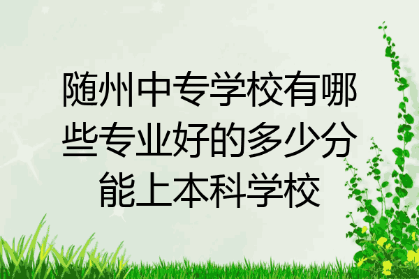 随州中专学校有哪些专业好的多少分能上本科学校