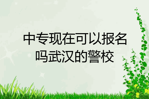 中专现在可以报名吗武汉的警校