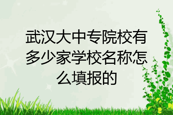 武汉大中专院校有多少家学校名称怎么填报的