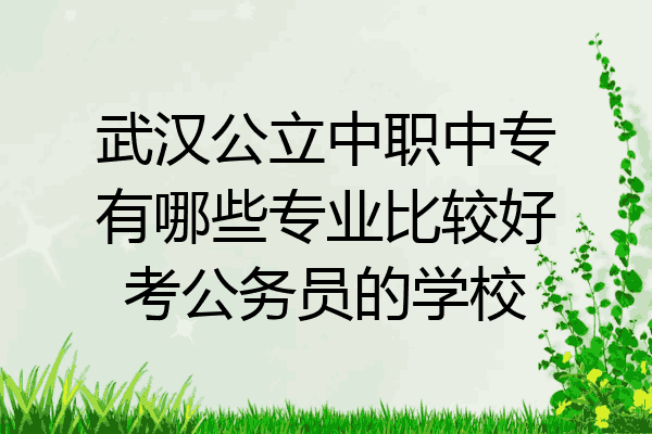 武汉公立中职中专有哪些专业比较好考公务员的学校