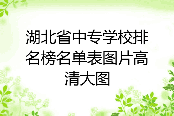 湖北省中专学校排名榜名单表图片高清大图