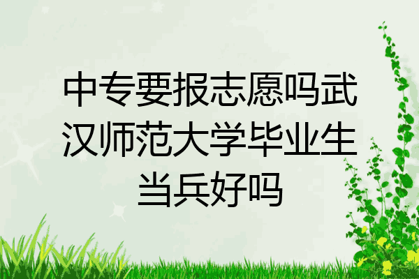 中专要报志愿吗武汉师范大学毕业生当兵好吗