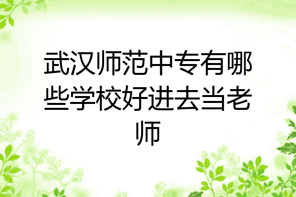 武汉师范中专有哪些学校好进去当老师