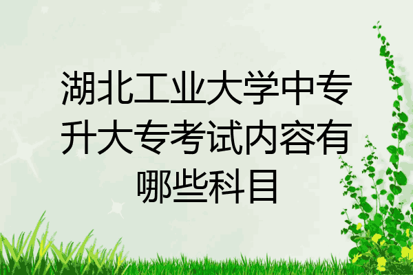 湖北工业大学中专升大专考试内容有哪些科目