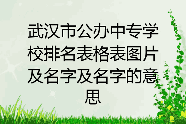武汉市公办中专学校排名表格表图片及名字及名字的意思